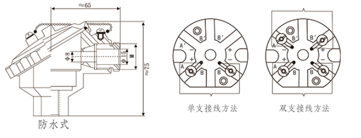T10系列防爆型鉑電阻溫度傳感器接線盒外形 上海維連