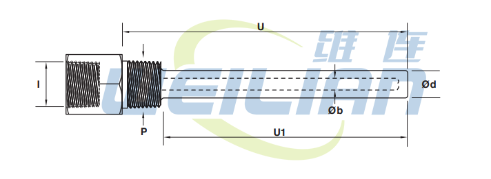 溫度傳感器定制 雙螺紋熱套管 維連電子