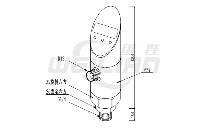 智能壓力開關(guān)PM-P204 維連壓力傳感器
