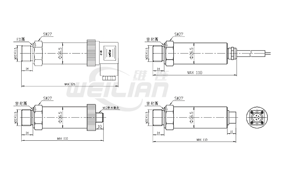 防腐型壓力變送器PM-P205 尺寸圖 維連壓力傳感器